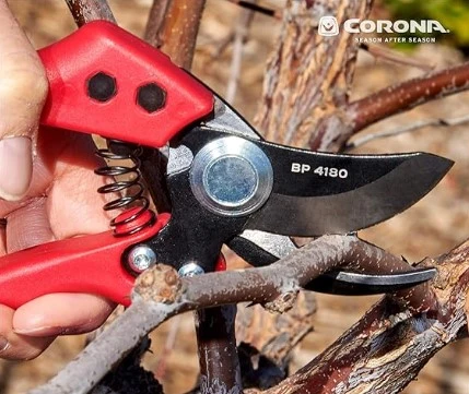 TIJERA PREMIUM ERGONOMICA PROFESIONAL MANGO NAILON REFORZADO HOJAS DE ACERO ALTO CARBONO 3/4 ( 19 mm)