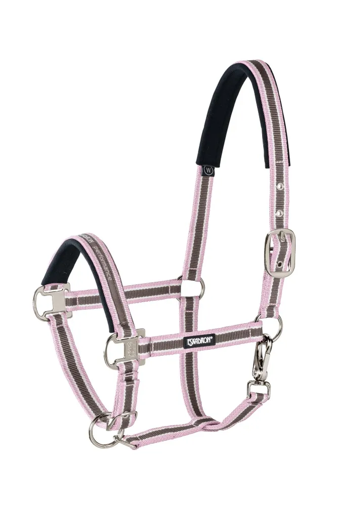 Mecanizado CNC Halter Pin Buckle Almon-Creme-Powderrose SHP