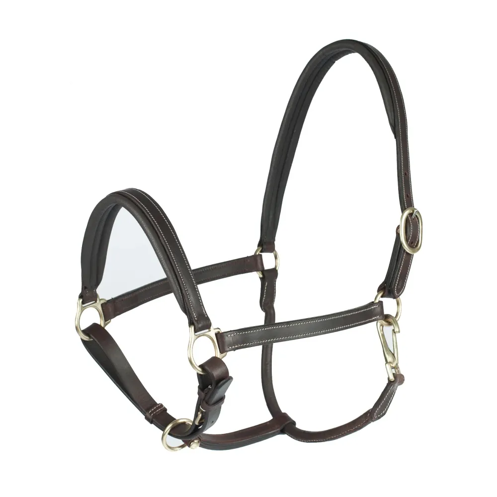 Largo Leather Halter Dark Brown F