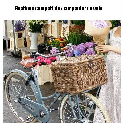 Fixations pour caisse et panier de vélo en osier rotin - Basil Tamaño para M10