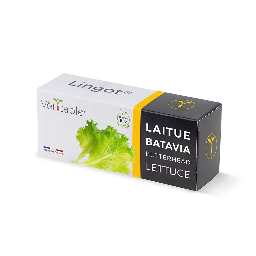 Lingot Laitue Batavia BIO - VERITABLE