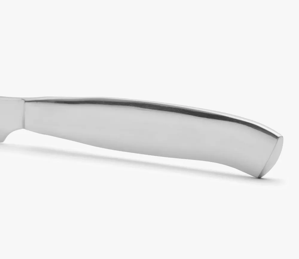 Bisagra Oculta Coltello Bistecca Monoblocco Filo Seghettato