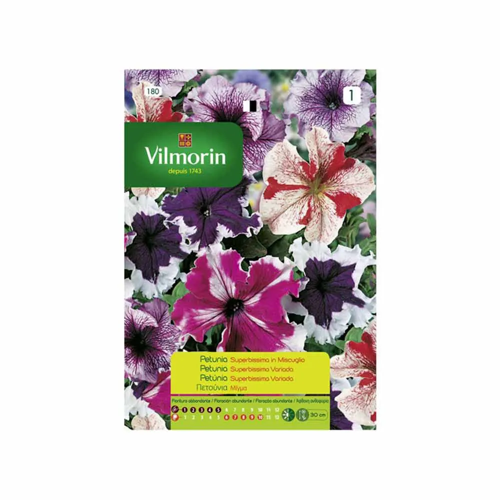 Acero Inoxidable 304 Semillas Petunia Superbissima 0,04gr VILMORIN