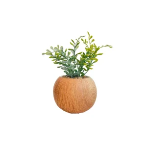 Planta artificial OLGA marca ECOANYA Juego de 4 Unidades