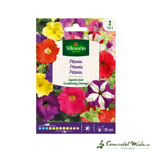 VILMORIN Semillas Petunia Superb Variado con Rodamientos de Bolas