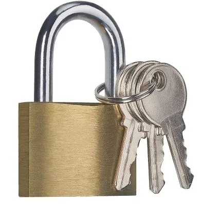 CADENAS À CLÉ EN LAITON 20MM para Laboratorios de Electrónica