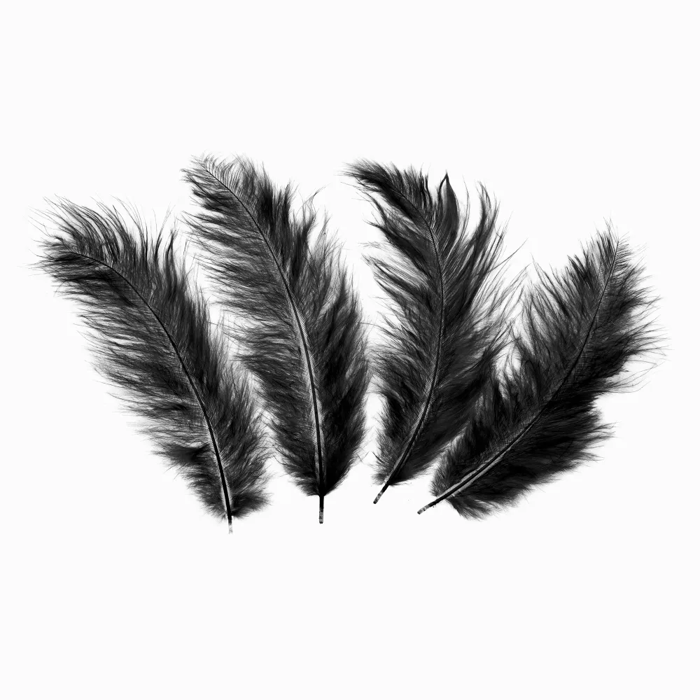 Confeti plumas largas 50 uds - negro Resistencia de Precisión | 0.1%
