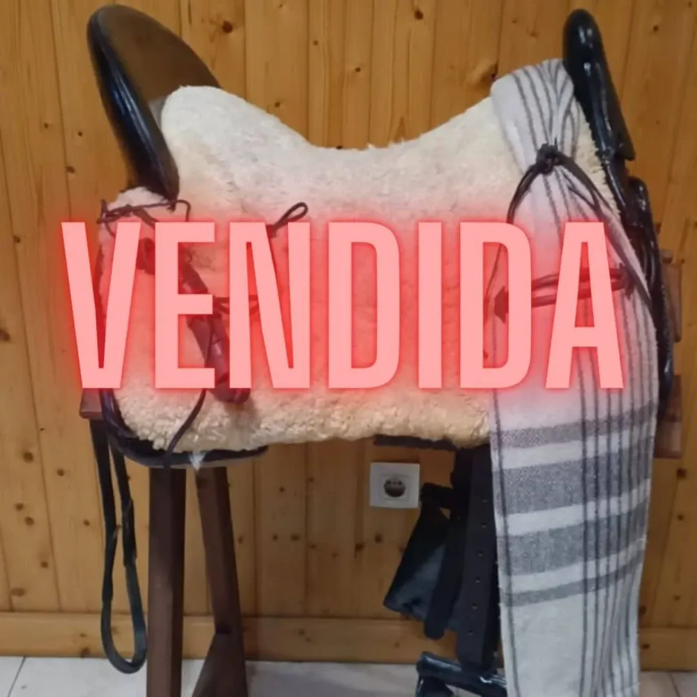 Precisión Industrial OCASION SILLA VAQUERA CENTENO