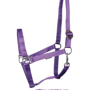 Conjunto de cabeza de caballo de Harry con inicial Clásico violet F Juego de Varios Tamaños
