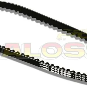 Correa X-Special Malossi PGT. LUDIX/SPEEDFIGHT/BUX SQUAB/TKR/VIVACITY 50 6112735
