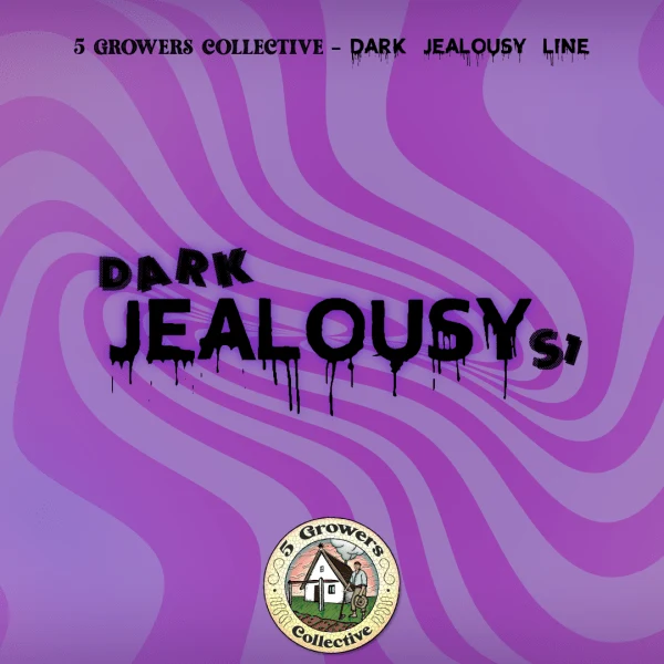 DARK JEALOUSY S1. Gelato 41 x Jealousy 6und +1//PACK