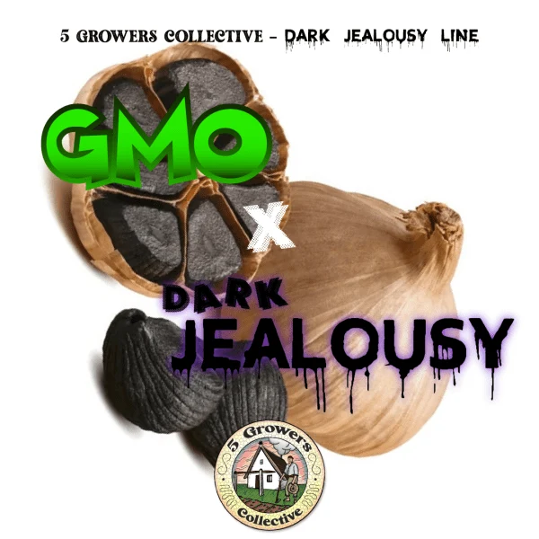 Grado Industrial GMO x DARK JEALOUSY. GMO (Skunkmasterflex Cut) x Dark Jealousy // 6und. PACK