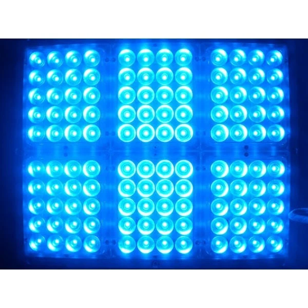 Sensor de Proximidad Apache Tech - Luces LED Blancas y Azules