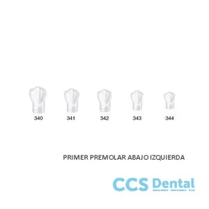 Protección Estéril St5K342 Corona Acetato Bicuspide Inf. Izquierda5Uds.