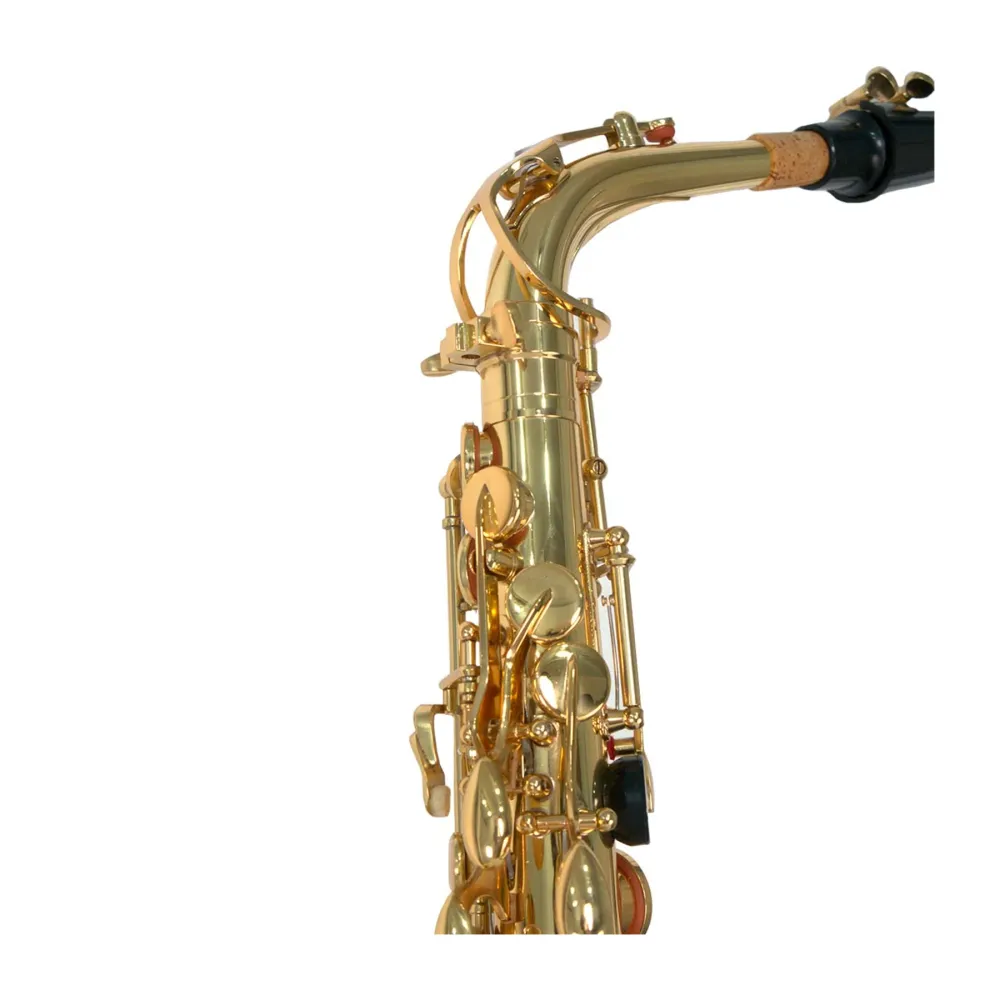 Saxofón alto BENJAMIN ADAMS, Afinado en Eib, creado en latón amarillo con un acabado laqueado dorado duradero, elegante gr...