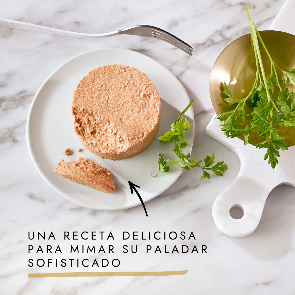 Gourmet Gold Mousse Surtido Pack 12X85 g