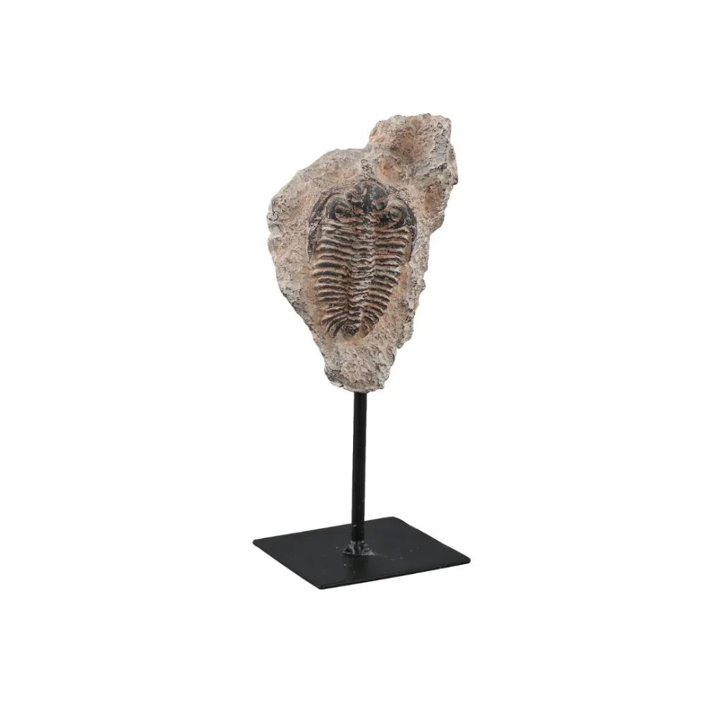 Estatua Fósil bdhome Marbella