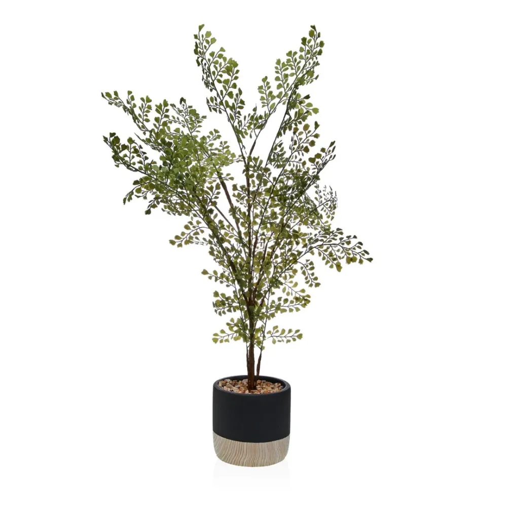 Planta en maceta bdhome Marbella