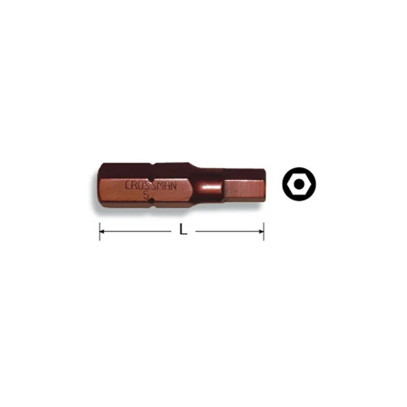 Punta Mag Allen Tamper Proof H-3 Toma 1/4 X25 Display 10 Un Crossman