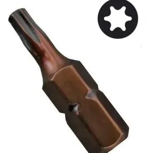 Punta Magnetica Torx T-45 Toma 1/4 X 25 mm Crossman 44-314