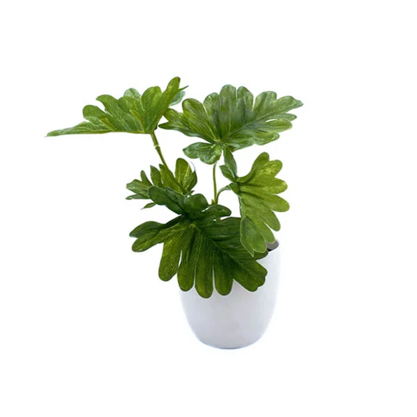 Mini planta decorativa philodendron 15 cm DECORACIÓN