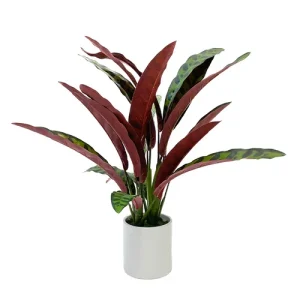Planta artificial chica calathea lancifolia 55 cm DECORACIÓN