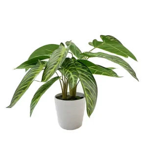 Planta artificial chica syngonium 46 cm DECORACIÓN