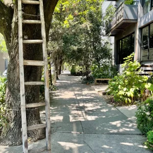 Escalera de madera DKPmercat