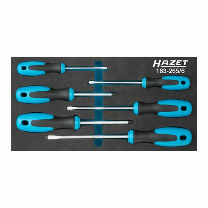Módulo de herramientas HAZET 163-265/6 de 6 piezas ( 4000871196 )