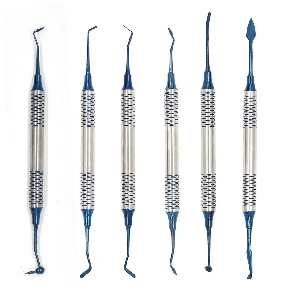 6 unids/kit de raspador de resina compuesto dental, espátula de llenado dental antiadherente Quierox - Tienda Online