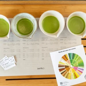 Cata Exprés de Matcha (Presencial). Soy Té