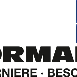 Pestillo Vormann ( 3000272325 ) acero galvanizado