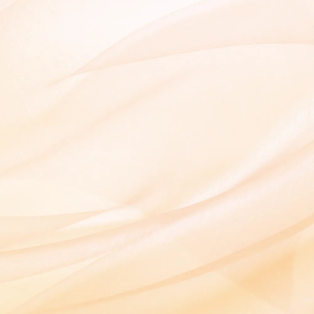 Organza lisa champagne 0,16x9m