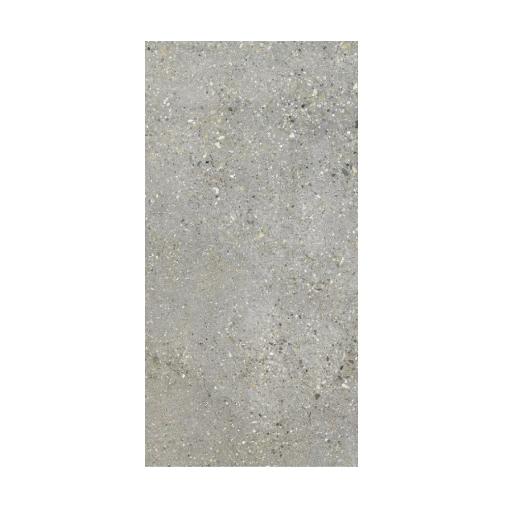 Grafito para Electrodos Gres - Beton Grey Matt Gres Mate 60x120 Rectificado