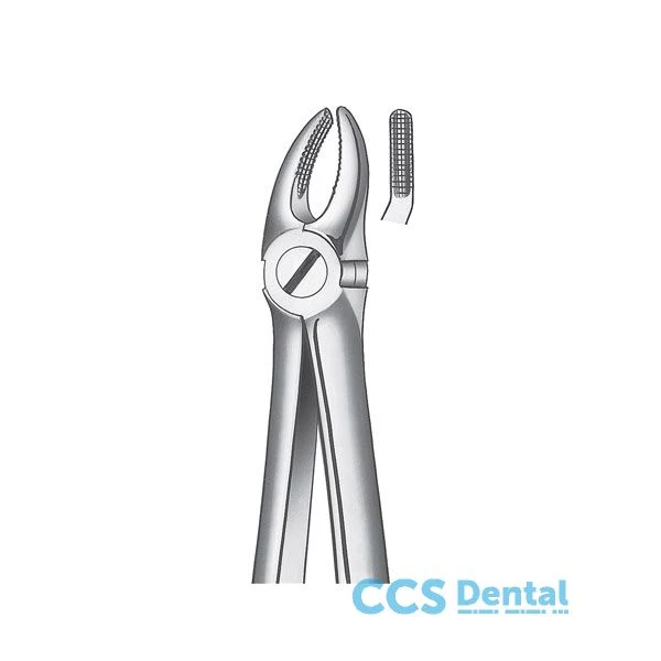 Esparadrapo Dental 7D Forceps Premolar Sup. Diam.