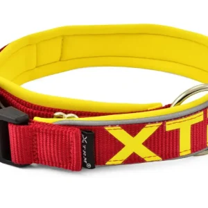 Collar X-Trm Neon Flash Rojo 20Mm X 35-45 cm