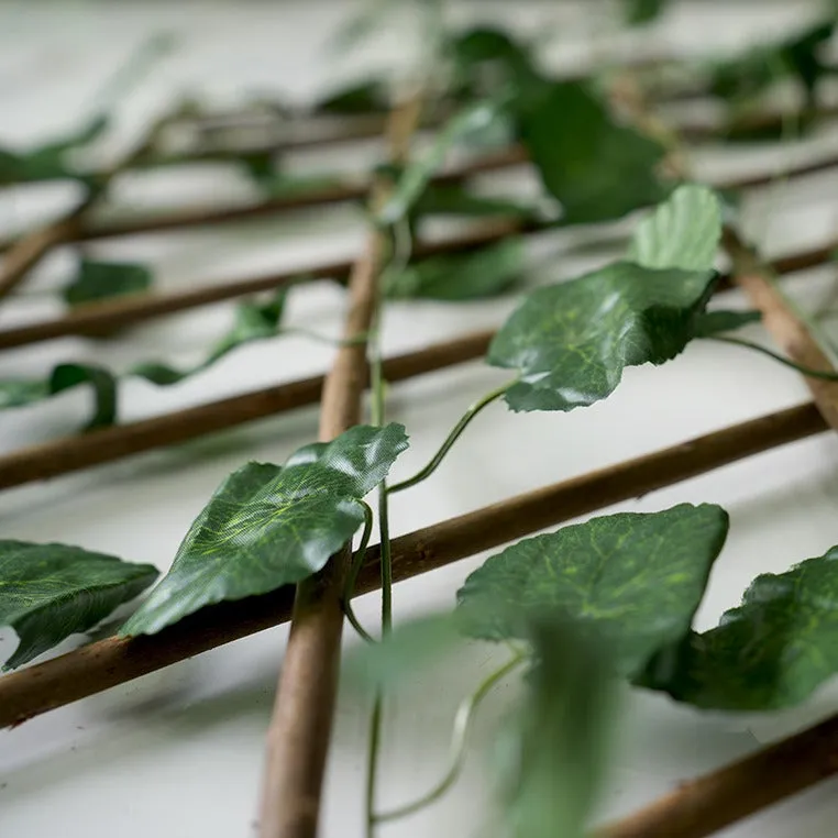 Cloture de Jardin rétractable - Treillis extensible - Feuille de Lierre - Mur végétal
