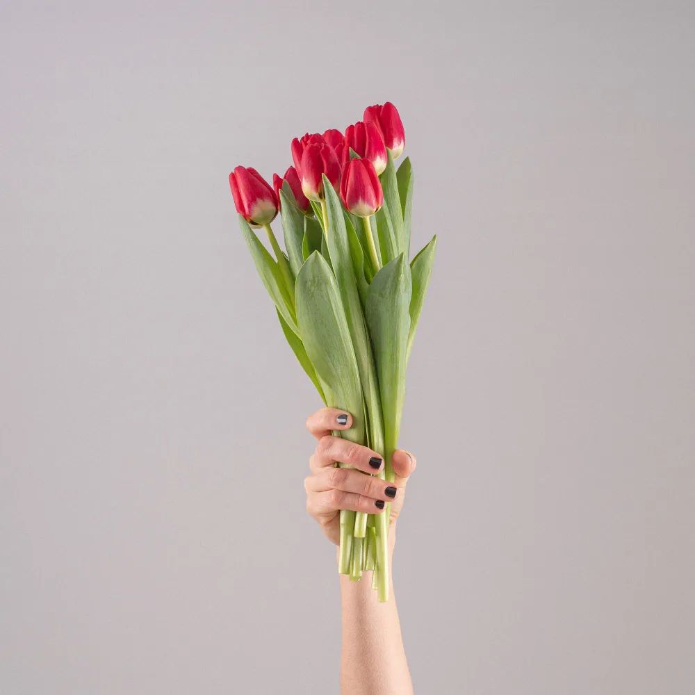 Ramillete de Tulipanes Rojos con Rosca M10