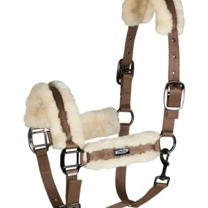 Marquess Halter Nogal P
