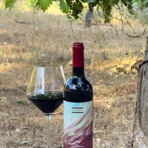 Rotwein Senda Crianza 2021 CO