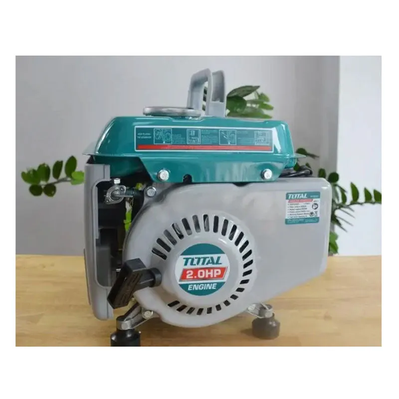 Groupe électrogène - Générateur 800W – TP18001 con Tornillos de Montaje