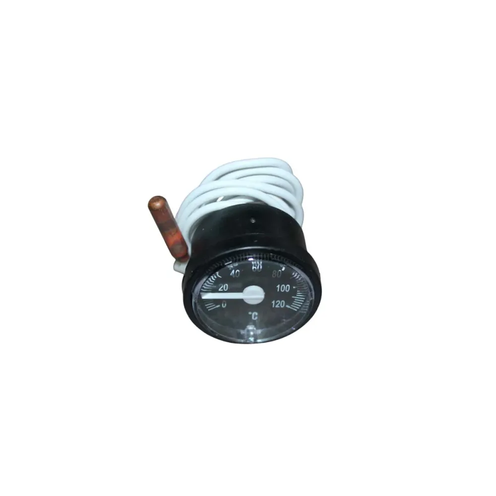 PEISA REP TERMOMETRO Ø37 NEGRO 90000351 Aleta de Aluminio