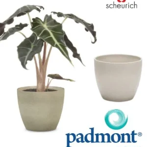 Maceta Cerámica 920/28 Taupe Stone - Scheurich