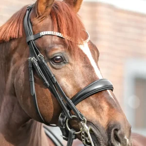 Sonya Weymouth Bridle black/black P para Estructuras Livianas