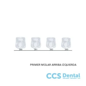 St5K261 Corona Acetato Molar Sup. Izquierda 5Uds.