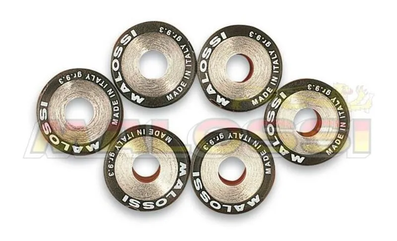 Rodamiento Rígido 6 Rodillos Malossi HTRoll Ø20,9x17 gr.11 Ø20,9X17 GR.11 6613697.I0