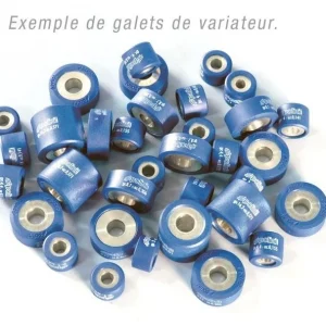 Rodillos Polini 20X17 G. 15,7 (242167)