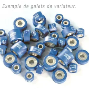 Rodillos Polini 20X17 G. 8,5 (242173)