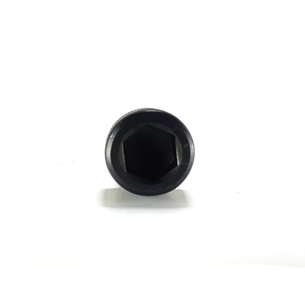 Acero Inoxidable A2 Tornillo Socket Cilindro Negro Metrico - M 33 x 100