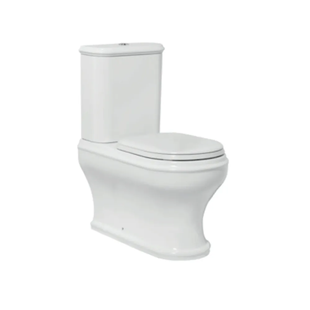 Vaso filoparete monoblocco con cassetta Azzurra linea Charme con sedile mullido close